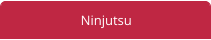 Ninjutsu